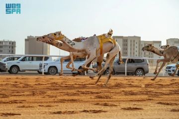 غدا .. تتويج أبطال كؤوس مهرجان خادم الحرمين الشريفين لفئة اللقايا