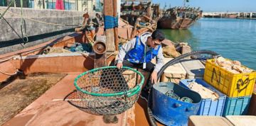 تعزيز الامتثال لأنظمة الصيد البحري