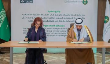 مصادر الوئام.. قرار النصر من تجديد التعاقد مع رونالدو