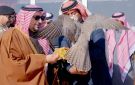 أمير القصيم يرعى حفل مهرجان القصيم للصقور بمشاركة (675) صقارا من مختلف دول الوطن العربي - sa