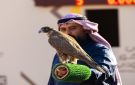 ختام منافسات الملاك الدوليين بمهرجان الملك عبدالعزيز للصقور 2025 - sa