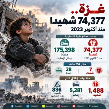 74,377 شهيدا في غزة منذ 7 أكتوبر 2023 74,377 شهيدا في غزة منذ 7 أكتوبر 2023