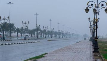 مصر تدين استهداف مطار الملك خالد الدولي مصر تدين استهداف مطار الملك خالد الدولي