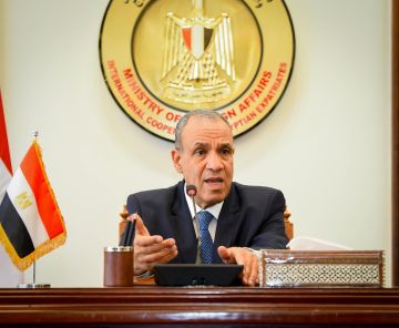 وزير الخارجية المصري: لا شأن لمصر فيما يحدث بإثيوبيا