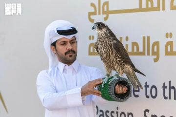 اختتام أشواط المحترفين والنخبة بسباق الملواح في معرض الصقور والصيد اختتام أشواط المحترفين والنخبة بسباق الملواح في معرض الصقور والصيد