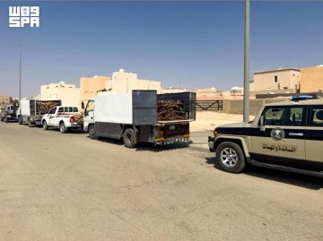 دوريات المجاهدين تضبط 3 مخالفين لنظام البيئة دوريات المجاهدين تضبط 3 مخالفين لنظام البيئة