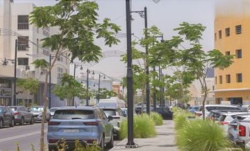الخبر تطلق موسم التشجير بزراعة 20 ألف شجرة الخبر تطلق موسم التشجير بزراعة 20 ألف شجرة