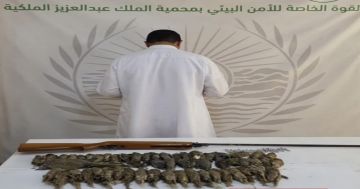 ضبط مواطن مخالف لنظام البيئة في محمية الملك عبدالعزيز الملكية ضبط مواطن مخالف لنظام البيئة في محمية الملك عبدالعزيز الملكية