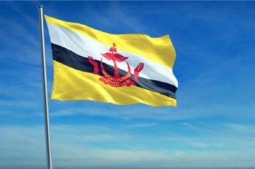 بروناي تدين الهجمات على المملكة وتؤكد دعمها لسيادتها وسلامة أراضيها بروناي تدين الهجمات على المملكة وتؤكد دعمها لسيادتها وسلامة أراضيها