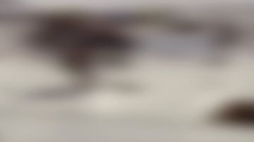 القبض على شخص لمضايقته المارة وإثارة الهلع والفزع بينهم في العاصمة المقدسة.. فيديو القبض على شخص لمضايقته المارة وإثارة الهلع والفزع بينهم في العاصمة المقدسة.. فيديو