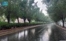 أمطار رعدية وسيول على جازان وعسير والباحة ومكة والمدينة