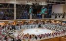 1.4 مليون ريال لأغلى صقر منغولي بمزاد الصقور