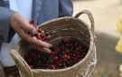 من الرياض إلى مقعد العرب في الأمم المتحدة.. من هي ديمة بنت يحيى اليحيى؟
