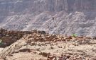  دادان .. تنقب عن حضارتها القديمة