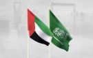 الإمارات تشكر المملكة على التعامل مع واقعة فلاي دبي وتفتح تحقيقا موسعا في الملابسات
