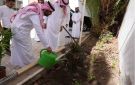  بيئة الطائف تزرع 2,030 شتلة عبر 3 مبادرات