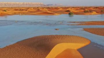 ضبط مخالفين لرعي الإبل وإشعال النار في محميات المملكة