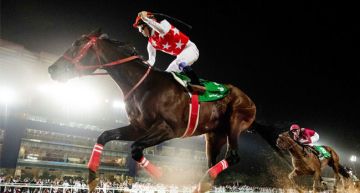 تحت رعاية خادم الحرمين الشريفين.. الرياض تحتضن كأس السعودية 2026 لسباقات الخيل