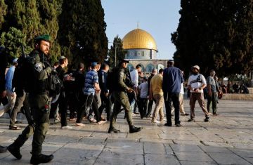 144 مستوطنا يقتحمون المسجد الأقصى المبارك وسط حماية جنود الاحتلال