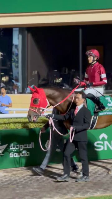 الجواد فور إيفر يونج يفوز بكأس السعودية للمرة الثانية تواليا