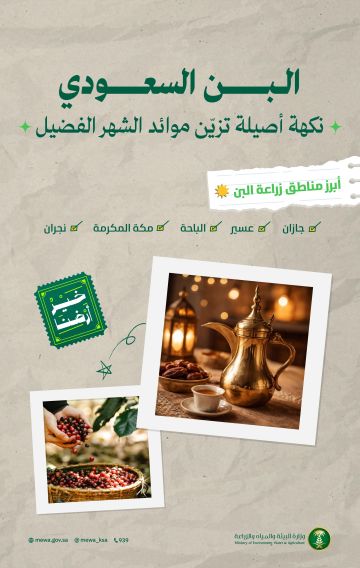 جازان تتصدر إنتاج البن السعودي بـ 642 طنا سنويا ضمن حملة خير أرضنا