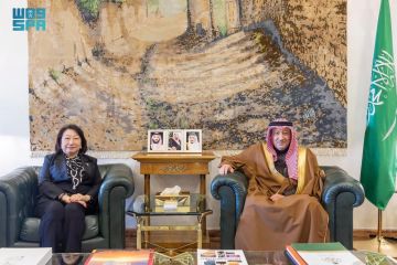 نائب وزير الخارجية يستقبل الأمين العام للمنظمة الدولية للوساطة نائب وزير الخارجية يستقبل الأمين العام للمنظمة الدولية للوساطة