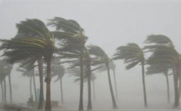 موجة صقيع تقتل 13 شخصا في نيويورك