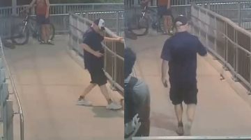 ثعبان سام يثير الذعر في محطة ريفرستون بسيدني .. فيديو ثعبان سام يثير الذعر في محطة ريفرستون بسيدني .. فيديو