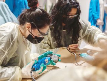  طويق للنحت من الاكتشاف إلى الإبـداع