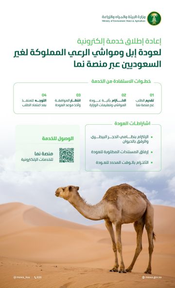 البيئة تعيد إطلاق خدمة عودة إبل ومواشي الرعي لغير السعوديين عبر منصة نما البيئة تعيد إطلاق خدمة عودة إبل ومواشي الرعي لغير السعوديين عبر منصة نما