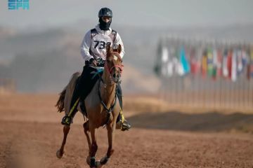 انطلاق منافسات سباق بطولة الفرسان للقدرة والتحمل في العلا