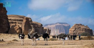  الفطرية : إطلاق 10 آلاف كائن ببرامج إعادة التوطين