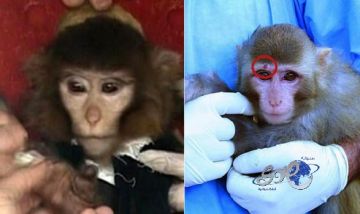 مشاهد روحانية نادرة من تهجد الحرم عام 1418هـ تثير الحنين .. فيديو مشاهد روحانية نادرة من تهجد الحرم عام 1418هـ تثير الحنين .. فيديو