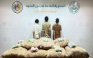 القبض على (3) يمنيين لتهريبهم (220) كجم قات في جازان - sa
