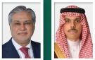 وزير الخارجية يتلقى اتصالا هاتفيا من وزير خارجية باكستان - sa