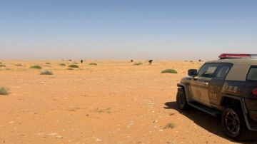 ضبط مواطن مخالف لنظام البيئة لارتكابه مخالفة رعي