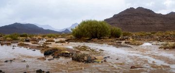 البيئة ترصد هطول أمطار في 9 مناطق