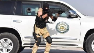 مروجو مواد مخدرة في قبضة رجال المكافحة.. فيديو