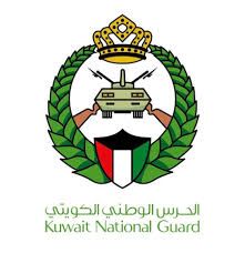 الكويت تسقط 4 طائرات درون