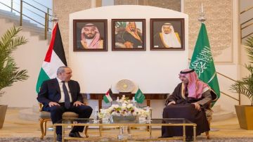 وزير الخارجية ونائب الرئيس الفلسطيني يبحثان التطورات في غزة والضفة وزير الخارجية ونائب الرئيس الفلسطيني يبحثان التطورات في غزة والضفة