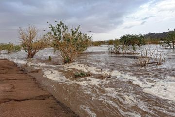 البيئة: 24 محطة ترصد هطول أمطار في 6 مناطق خلال 24 ساعة