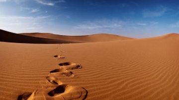 قصاص أثر يروي كواليس البحث عن طفل مفقود بوادي الطوقي في منتصف الثمانينيات.. فيديو