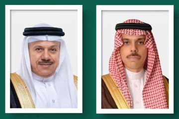 وزير الخارجية والزياني يبحثان الجهود الدبلوماسية لاحتواء الأزمة بالمنطقة