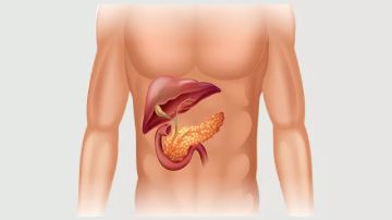 دراسة تكشف مؤشرات سرطان البنكرياس قبل ظهوره بسنوات دراسة تكشف مؤشرات سرطان البنكرياس قبل ظهوره بسنوات
