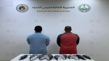 حرس الحدود يضبط مخالفين في المناطق البحرية حرس الحدود يضبط مخالفين في المناطق البحرية