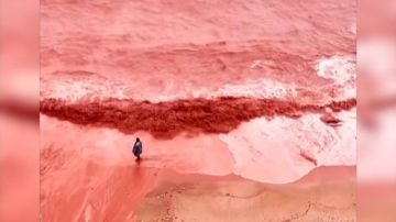 مضيق هرمز.. ما تقييم الخبراء بشأن قدرات خط سوميد المصري للعب دور في حل أزمة إمدادات الطاقة؟