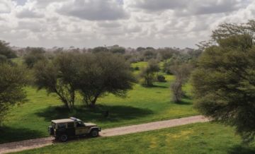 الأمن البيئي يضبط مواطنين مخالفين لنظام البيئة في محمية الإمام تركي بن عبدالله الملكية