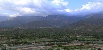 إعادة تأهيل أول مليون هكتار من أراضي الغطاء النباتي... إنجاز وطني يجسد التزام المملكة بالاستدامة البيئية