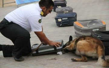 642 عملية ضبط في المنافذ الجمركية خلال أسبوع.. أبرزها الأسلحة والمخدرات 642 عملية ضبط في المنافذ الجمركية خلال أسبوع.. أبرزها الأسلحة والمخدرات