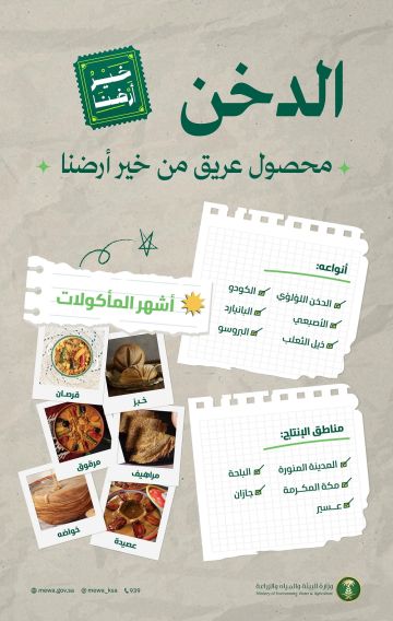 البيئة: الدخن الوطني يعزز الأمن الغذائي ويدعم الزراعة المستدامة